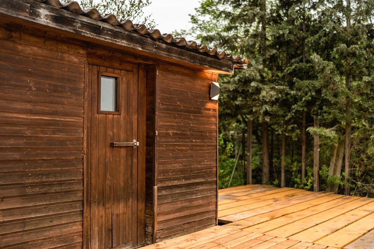 Die Entspannendste Wohnung Am Edersee - Spa Sauna Edertal Dış mekan fotoğraf